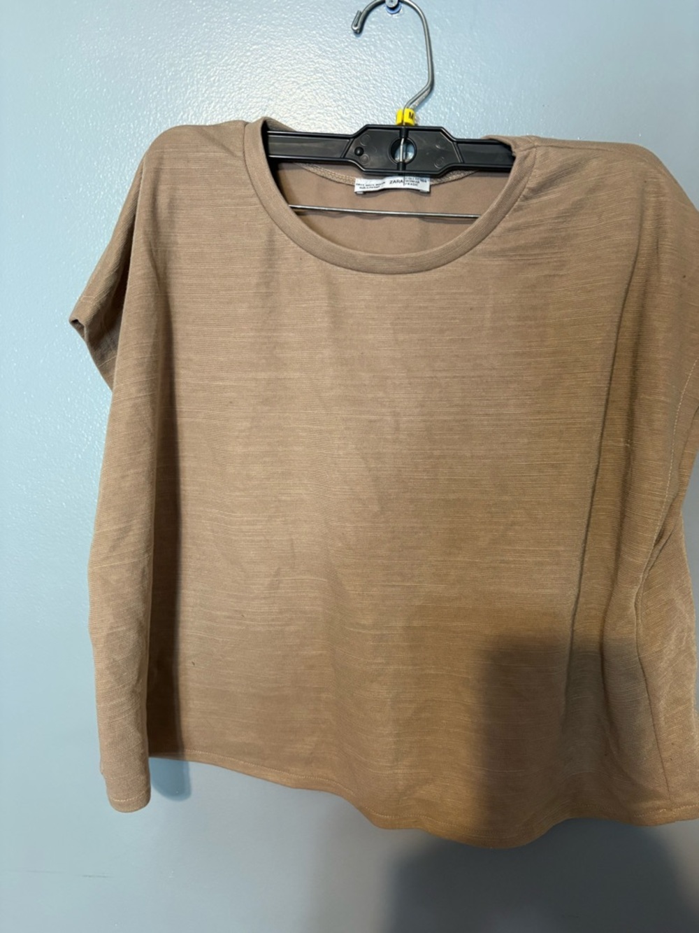Zara Short Sleeve Crewneck Top in Tan